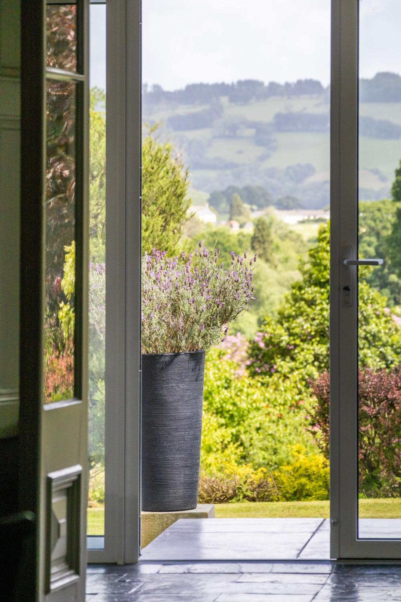 The Falcondale At Lampeter Buitenkant foto