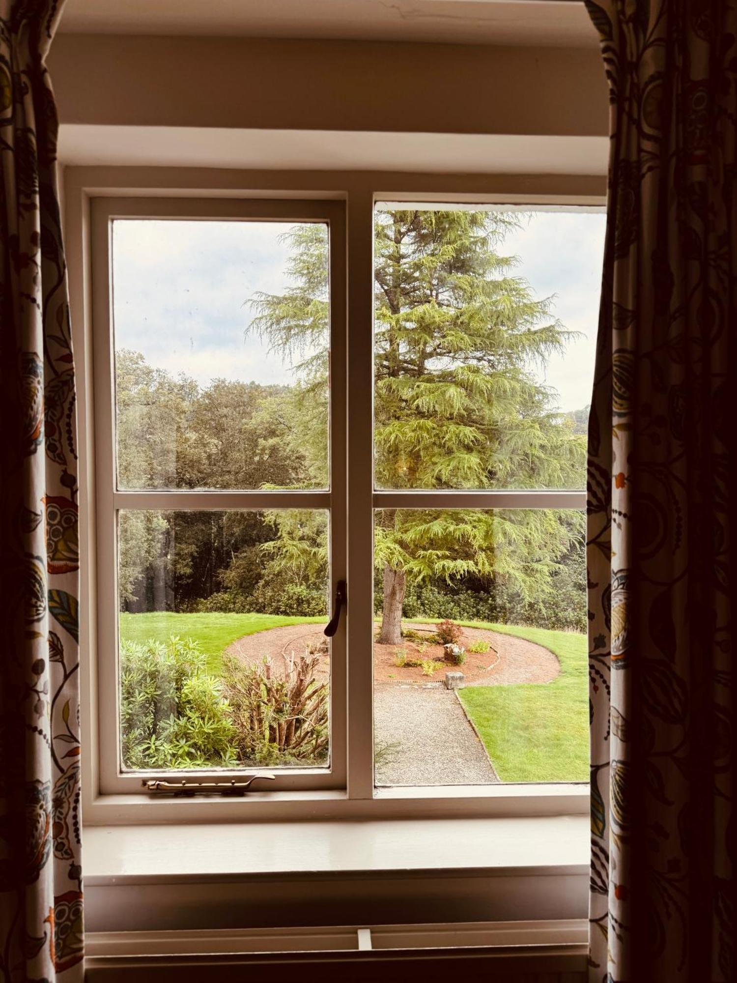 The Falcondale At Lampeter Kamer foto